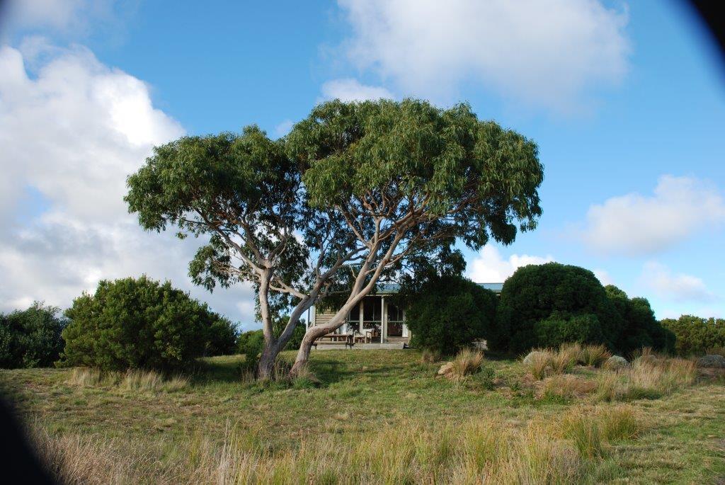 Shearwater Cottages Apollo Bay Bilik gambar