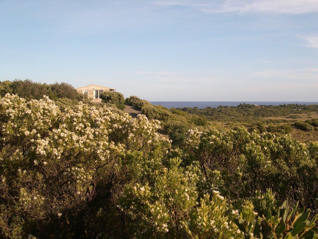 Shearwater Cottages Apollo Bay Bilik gambar