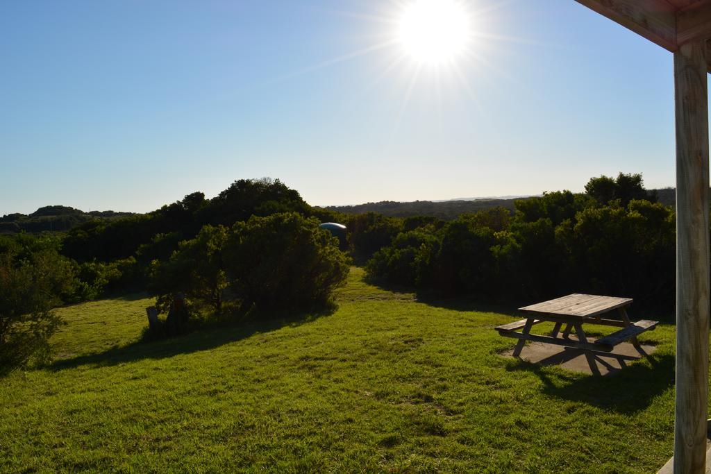 Shearwater Cottages Apollo Bay Bilik gambar