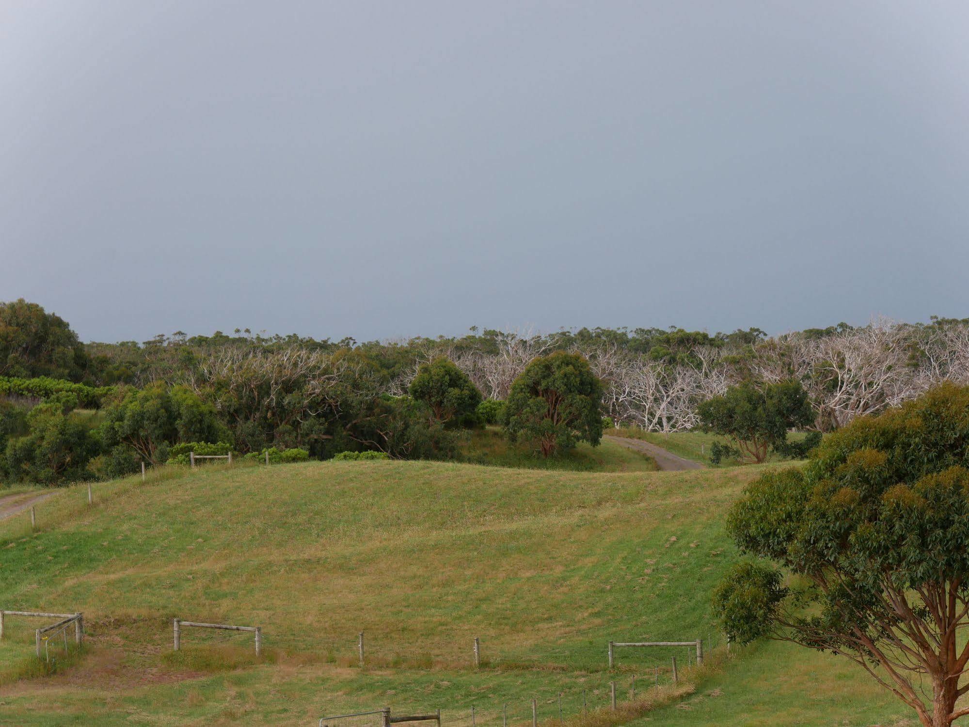 Shearwater Cottages Apollo Bay Luaran gambar